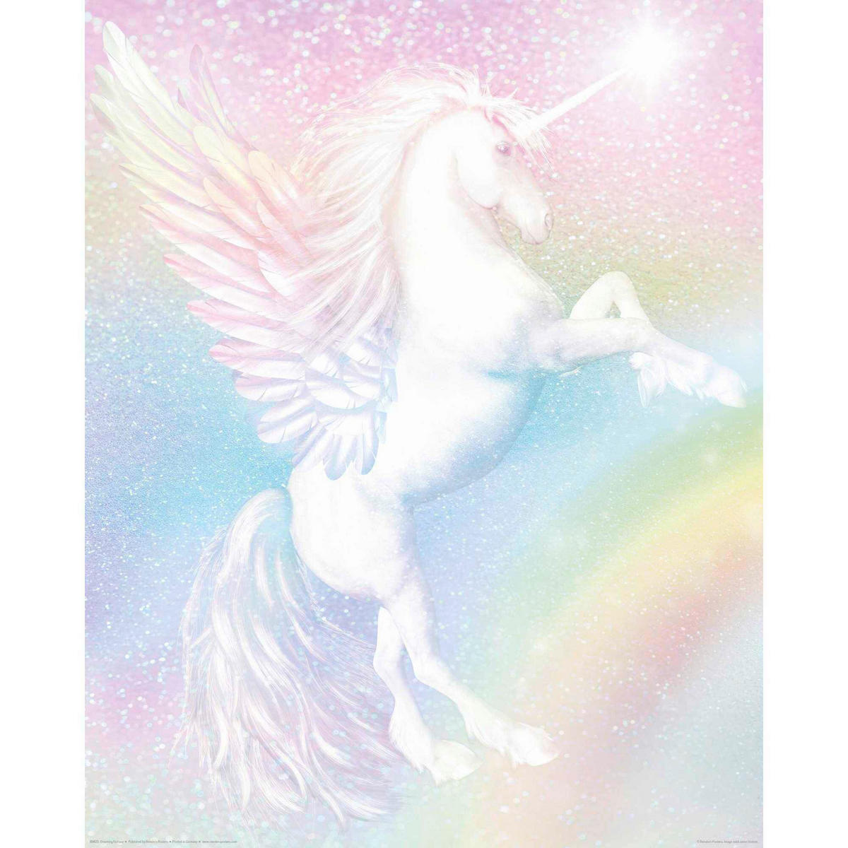 POSTER 40/50 cm  - Multicolor, LIFESTYLE, Papier (40/50cm) - Reinders!