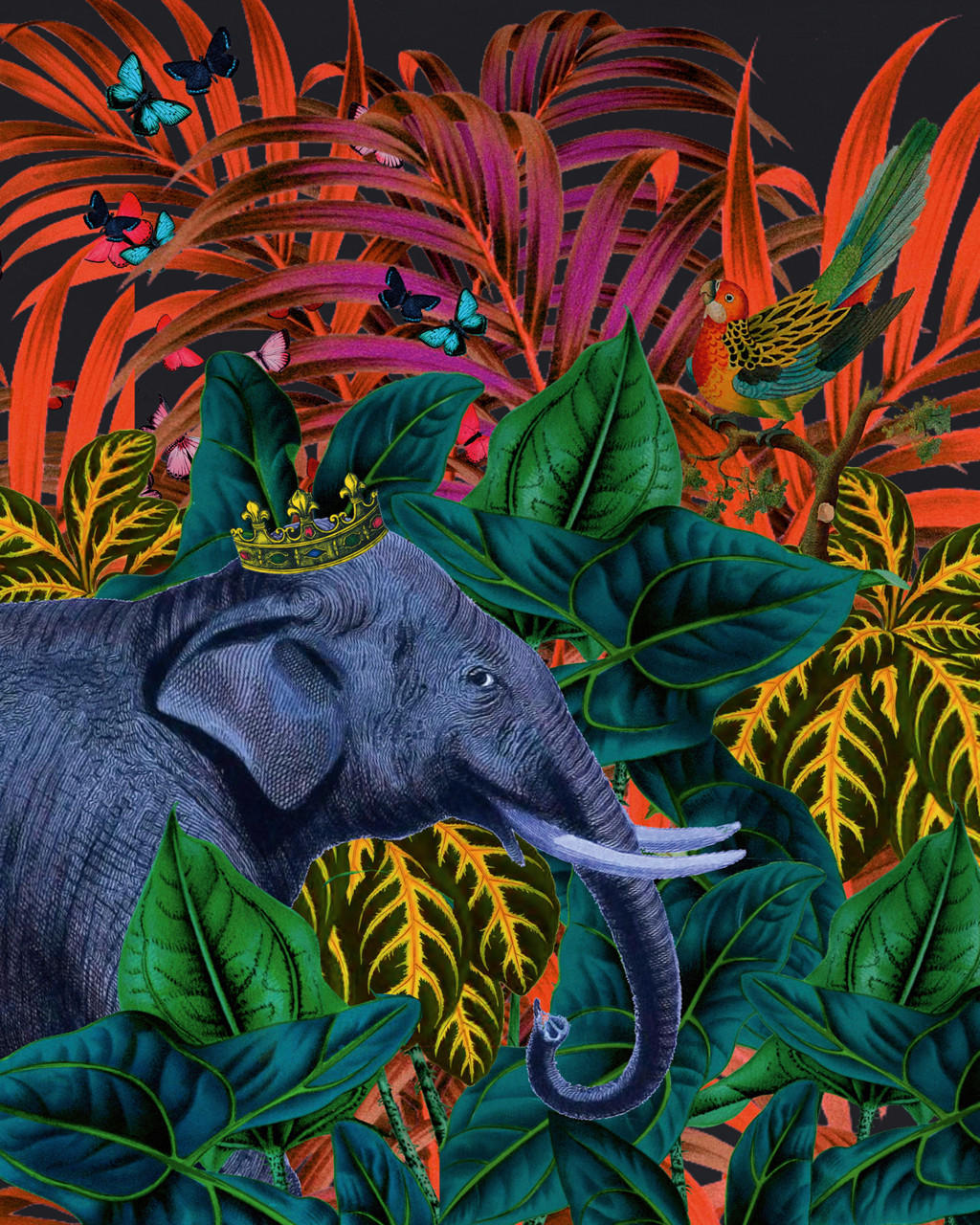KUNSTDRUCK Tiere, Blätter Gelb, Grün, Lila, Rot, Magenta 40/50 cm  - Gelb/Lila, Basics, Papier (40/50cm) - Monee