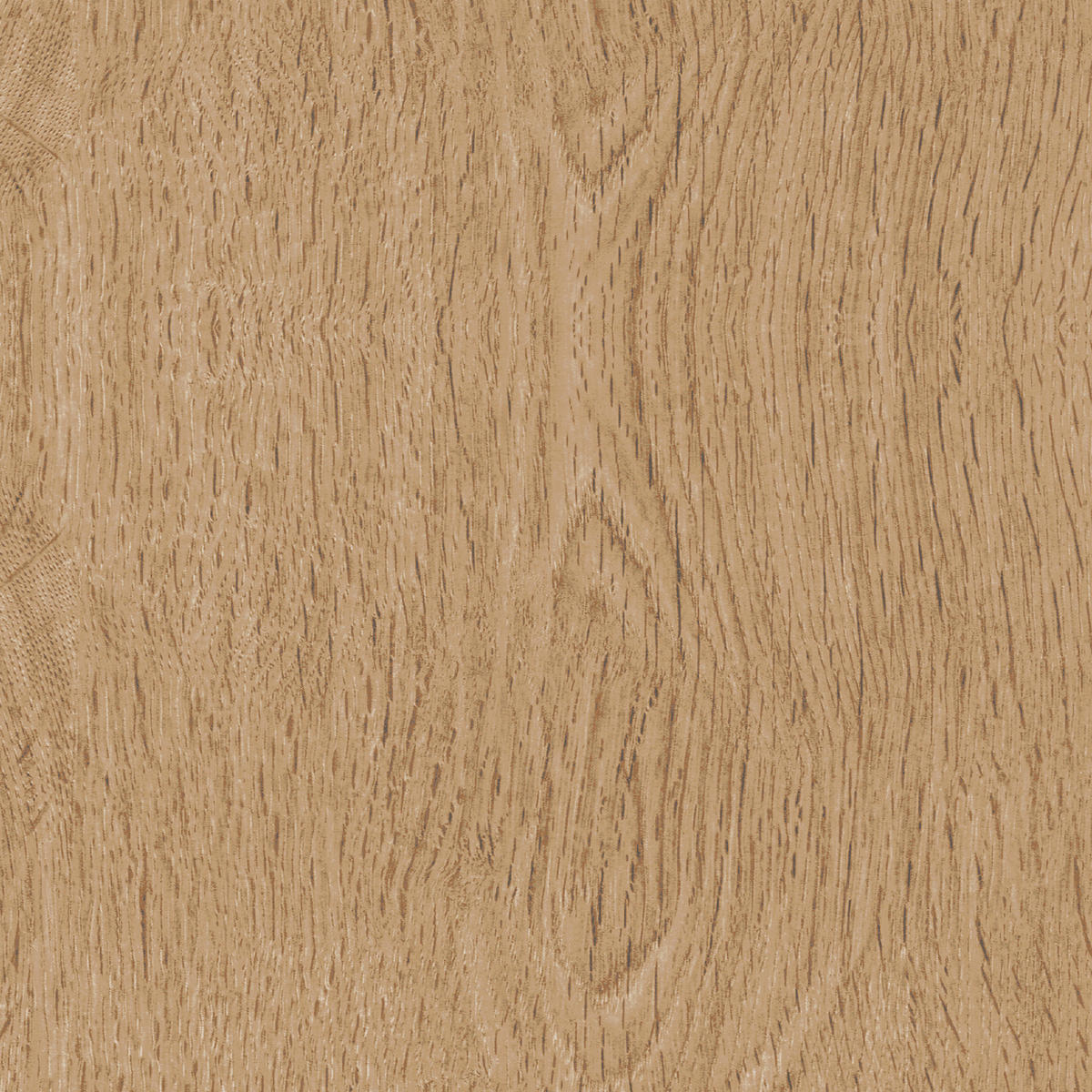 SOCKELLEISTE Eichefarben  - Eichefarben, Basics, Holzwerkstoff (1,5/5,8/240cm) - Homeware