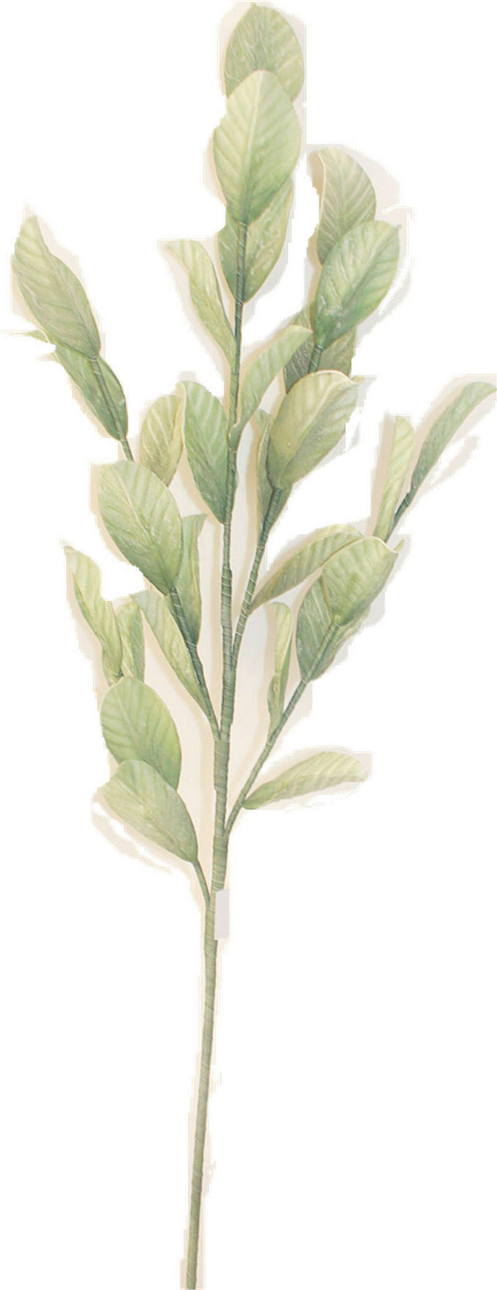 UMELÝ KVET 95 cm - zelená, Basics, kov/plast (95cm) - Ambia Home