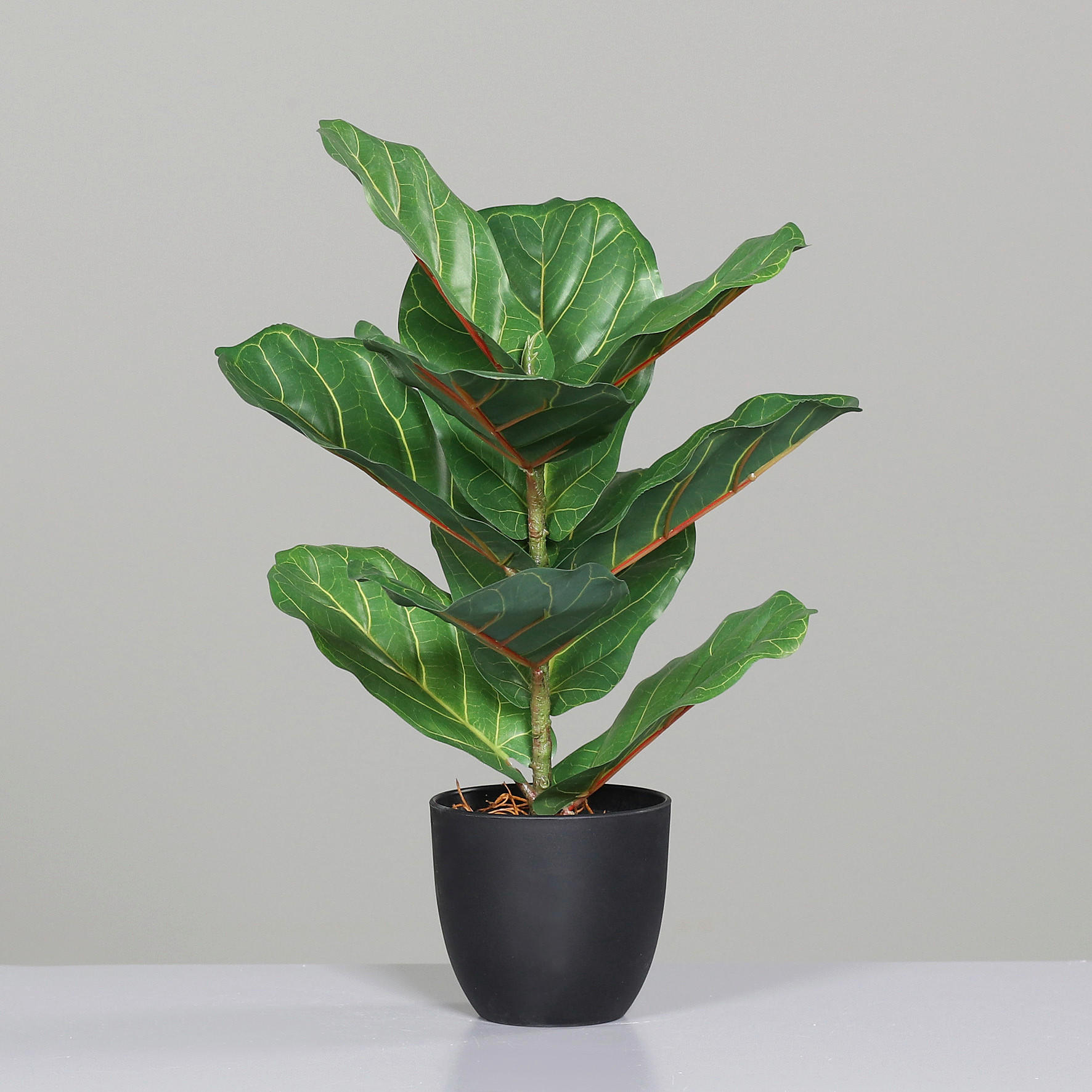 KUNSTPFLANZE Ficus Benjamina 40 cm  - Schwarz/Hellgrün, Basics, Kunststoff (40cm)