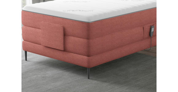 BOXSPRINGBETT 100/200 cm  in Rosa  - Schwarz/Rosa, Natur, Textil/Metall (100/200cm) - Esposa