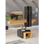 WOHNWAND  in Schwarz, Eichefarben  306/205,5/39,5 cm  - Eichefarben/Anthrazit, Natur, Glas/Holz (306/205,5/39,5cm) - Valnatura