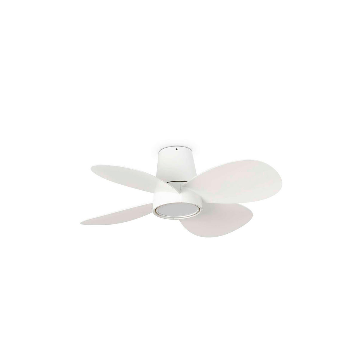 Ventilator mit Beleuchtung Klover 80/22.3 cm   - Weiß, KONVENTIONELL, Kunststoff/Metall (80/22.3cm)