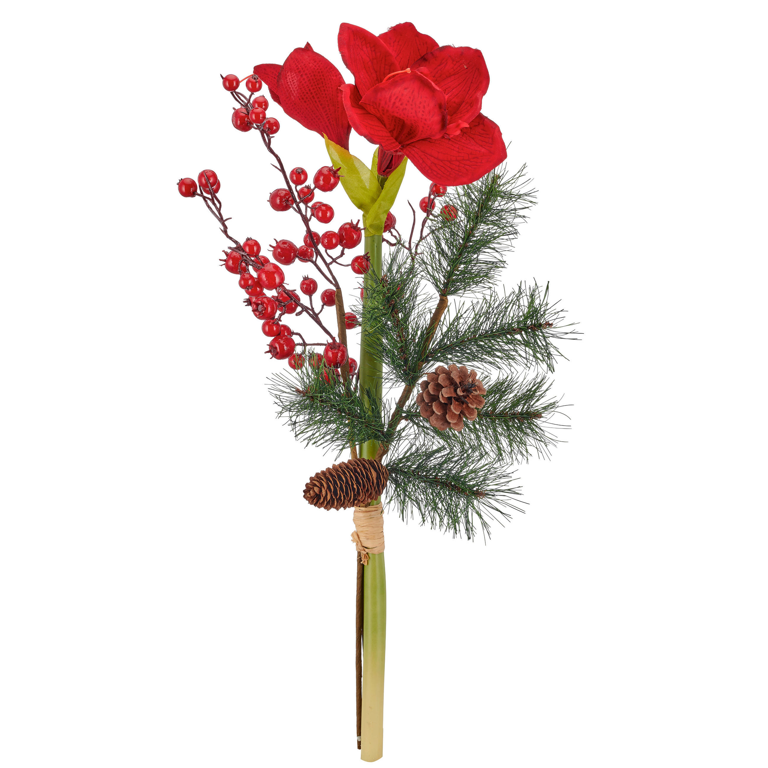 AMARYLLIS Amaryllis  - Rot/Braun, Basics, Kunststoff (65cm)
