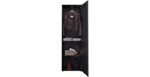 GARDEROBENSCHRANK 60/196/39 cm - Anthrazit/Schwarz, Design, Glas/Holz (60/196/39cm) - Johann Jakob