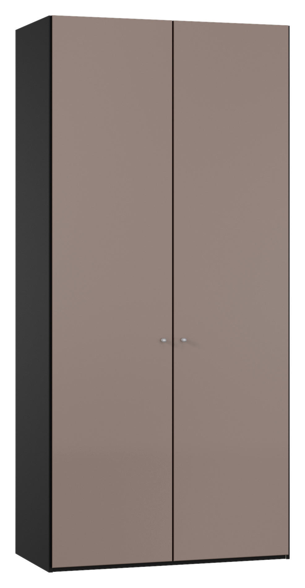 DREHTÜRENSCHRANK 102/220/40 cm,  in Braun, Schwarz, 2-türig  - Silberfarben/Schwarz, Design, Glas/Holzwerkstoff (102/220/40cm) - Jutzler