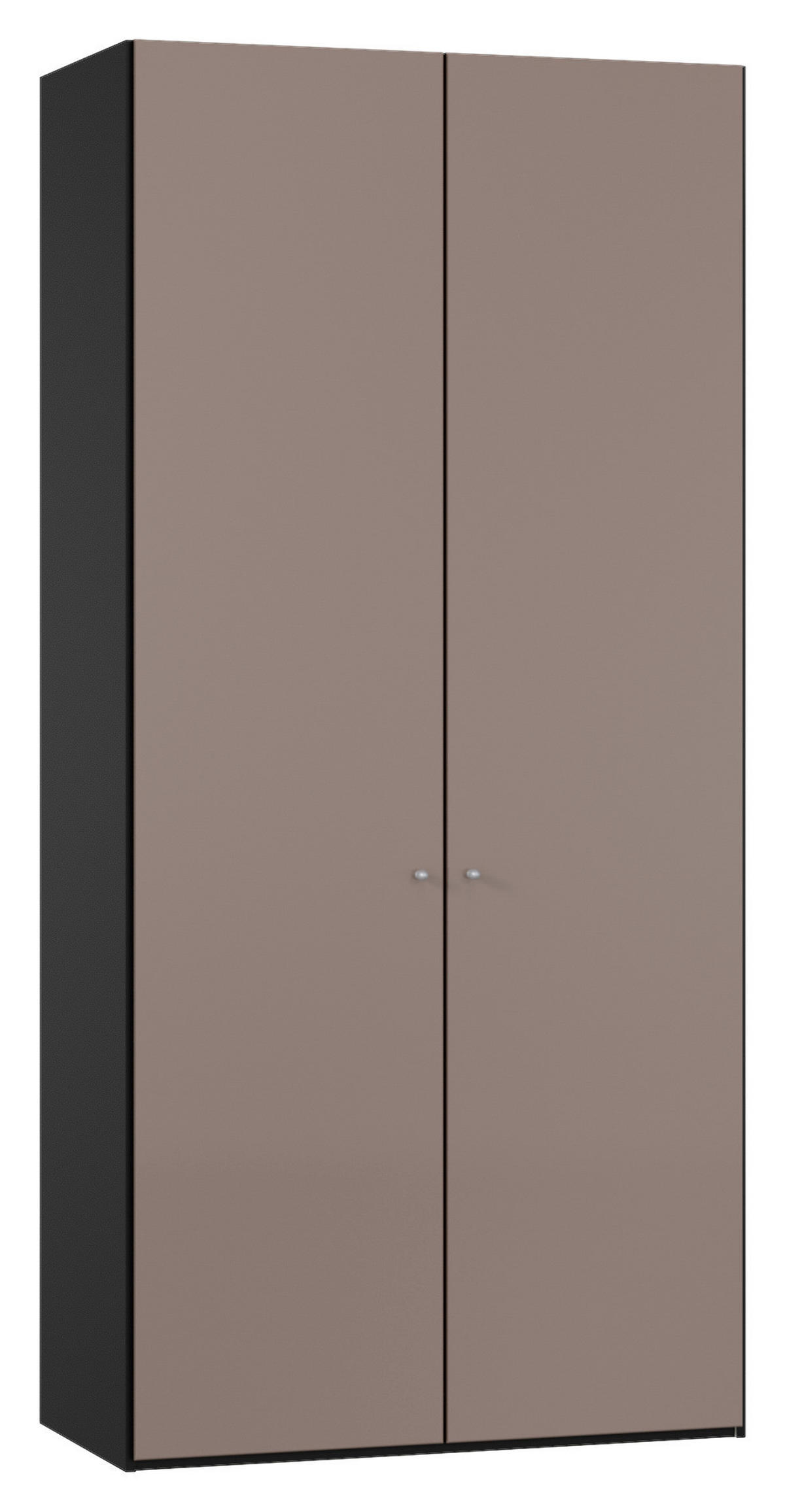 DREHTÜRENSCHRANK 102/220/40 cm,  in Braun, Schwarz, 2-türig  - Silberfarben/Schwarz, Design, Glas/Holzwerkstoff (102/220/40cm) - Jutzler