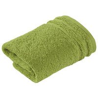 RUČNÍK PRO HOSTY, 30/50 cm, zelená - zelená, Design, textil (30/50cm) - Vossen