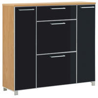 SCHUHSCHRANK Eiche furniert Anthrazit, Eichefarben  - Chromfarben/Eichefarben, Design, Glas/Holz (121/108/31cm)