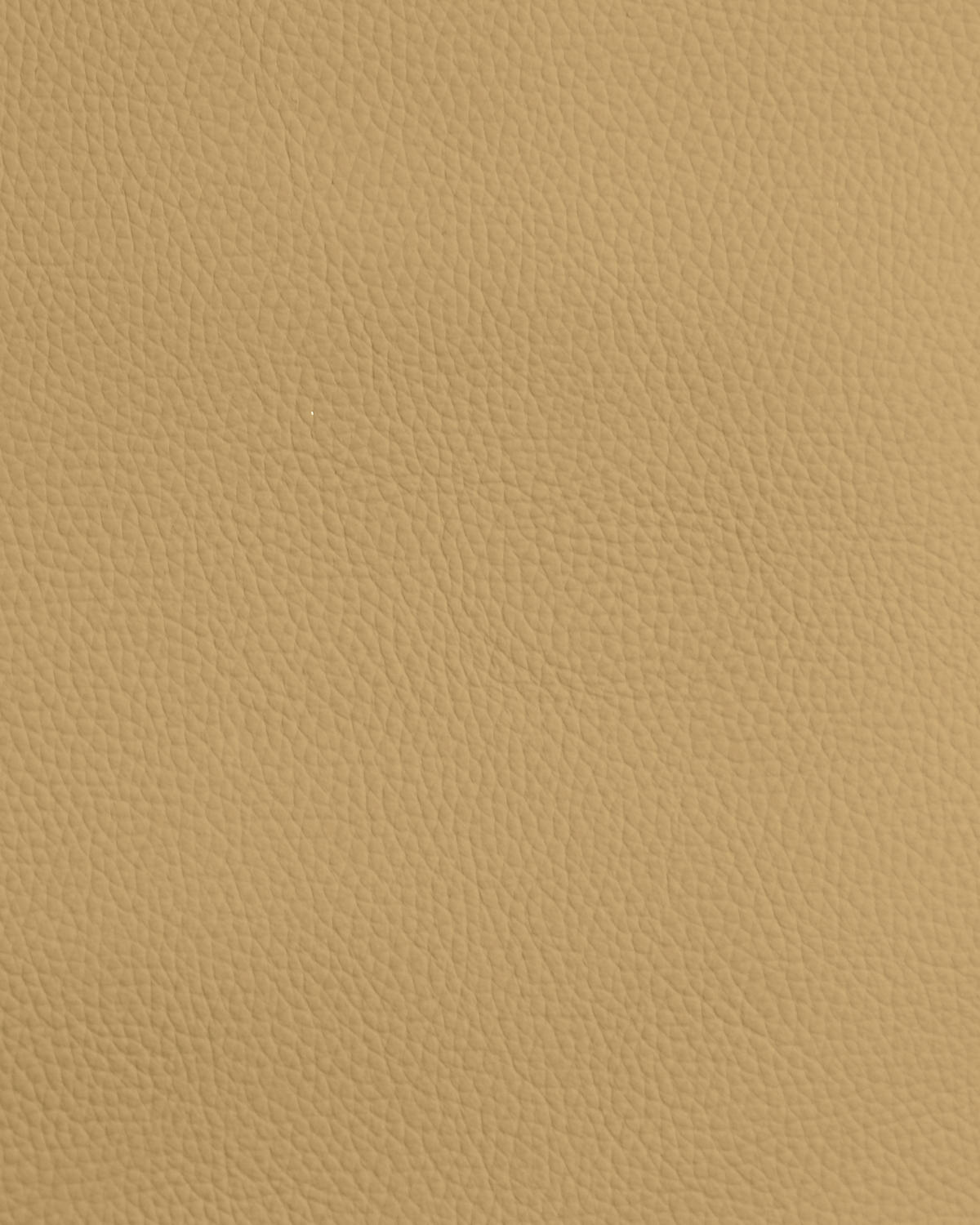 STUHL Echtleder Schwarz, Karamell  - Karamell/Schwarz, Design, Leder/Metall (50/92/64,5cm) - Dieter Knoll