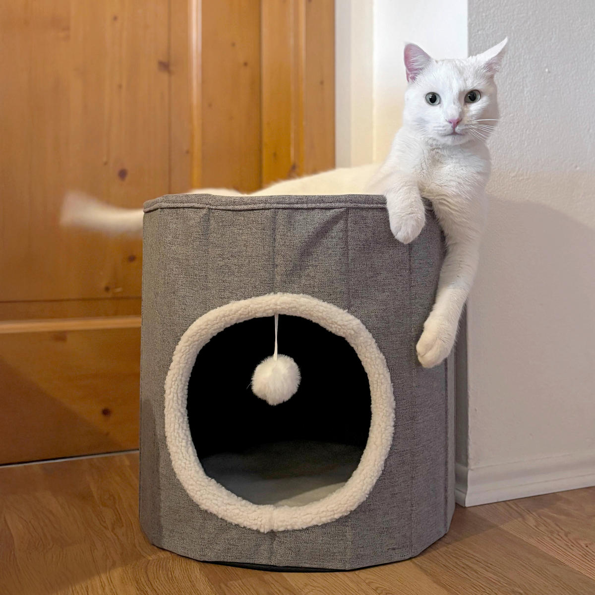 TIERHAUS - Grau, MODERN, Textil (38/38/38cm) - MID.YOU