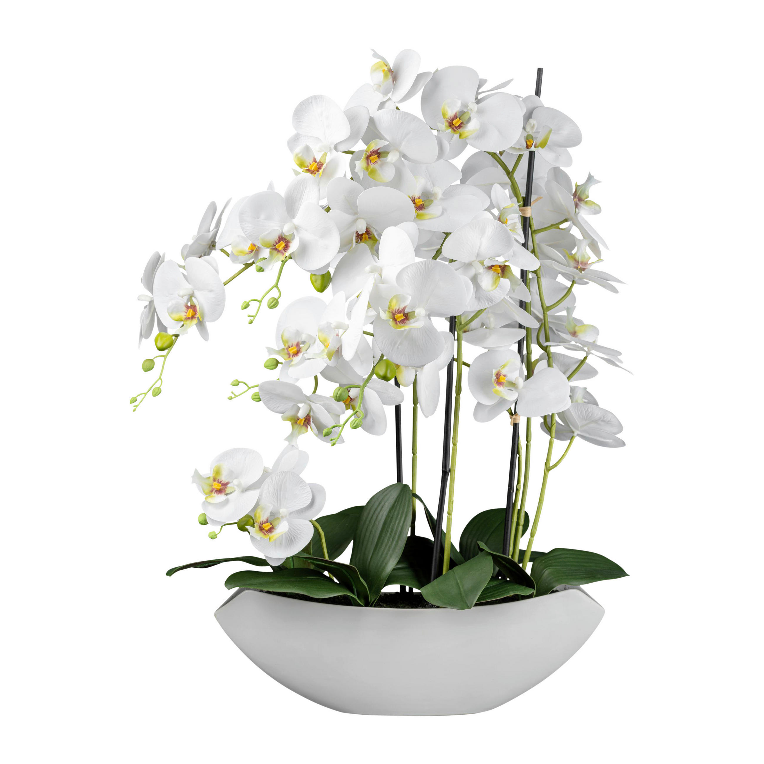 KUNSTPFLANZE Orchidee 63 cm  - Weiß/Grün, Design, Keramik/Kunststoff (63cm) - P & B