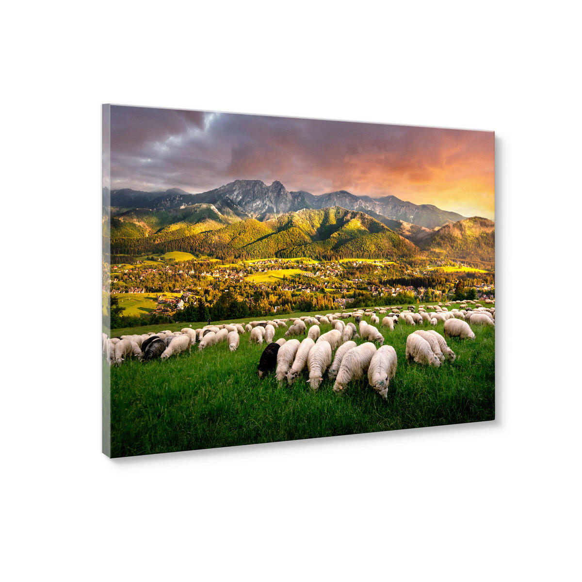 LEINWANDBILD Landschaft & Natur 70/100 cm  - Multicolor, Basics, Holz/Textil (70/100cm)