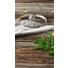 DECKEL - Transparent, Basics, Glas (16cm) - Homeware Profession. DECKEL - Transparent, Basics, Glas (16cm) - Homeware Profession.