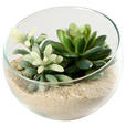 DEKOSCHALE - Klar, Basics, Glas (12/10cm) - Ambia Home