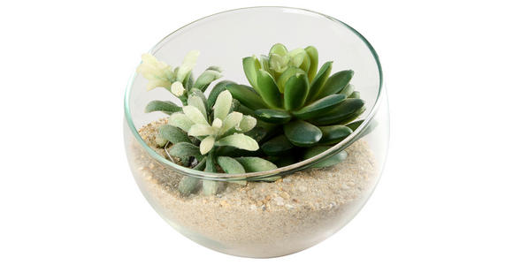 DEKOSCHALE - Klar, Basics, Glas (12/10cm) - Ambia Home