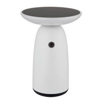 SOLARLEUCHTE  - Opal/Schwarz, Design, Kunststoff/Metall (16/22,5cm) - Globo