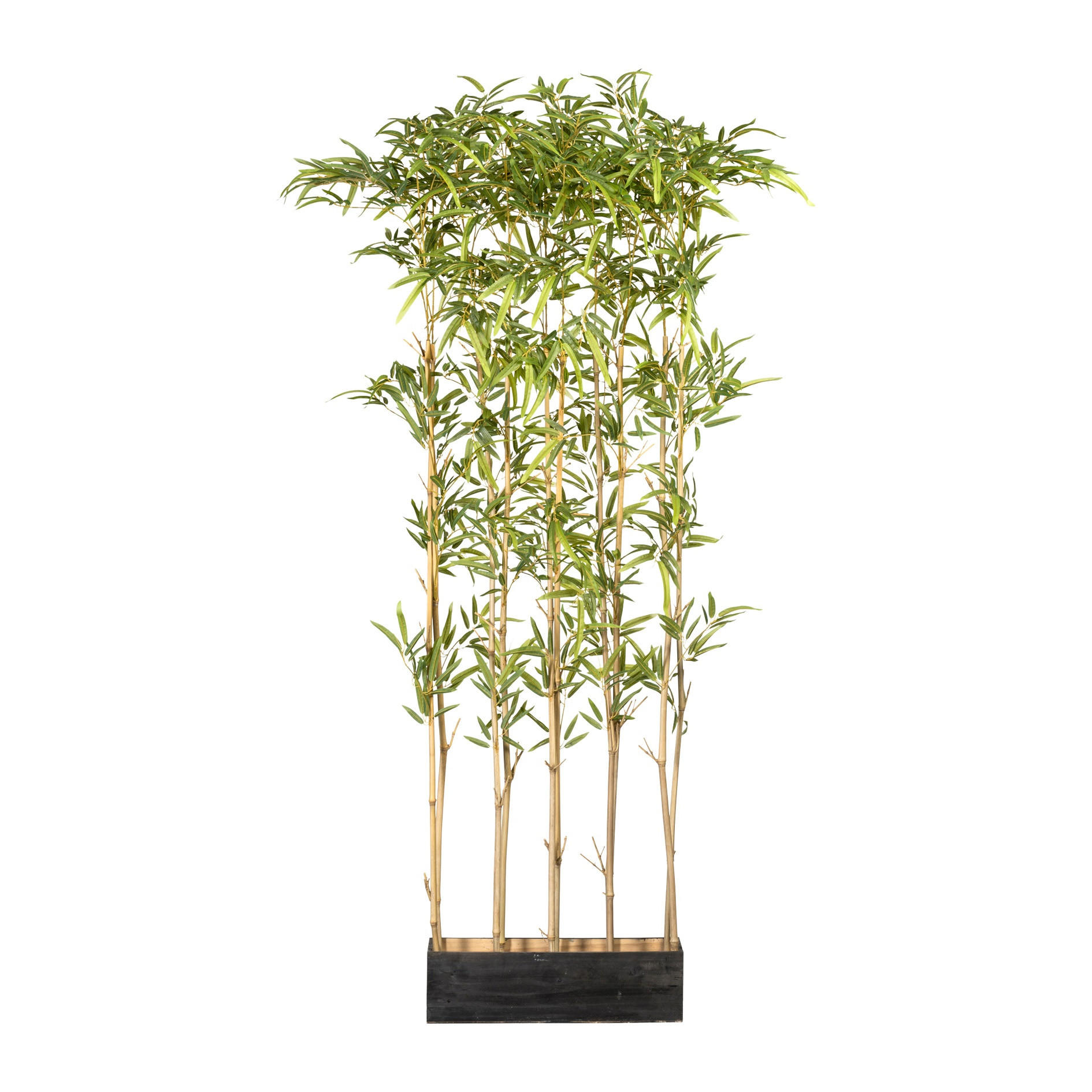 KUNSTPFLANZE Bambus 160 cm - Schwarz/Braun, Design, Naturmaterialien/Holz (160cm) - P & B