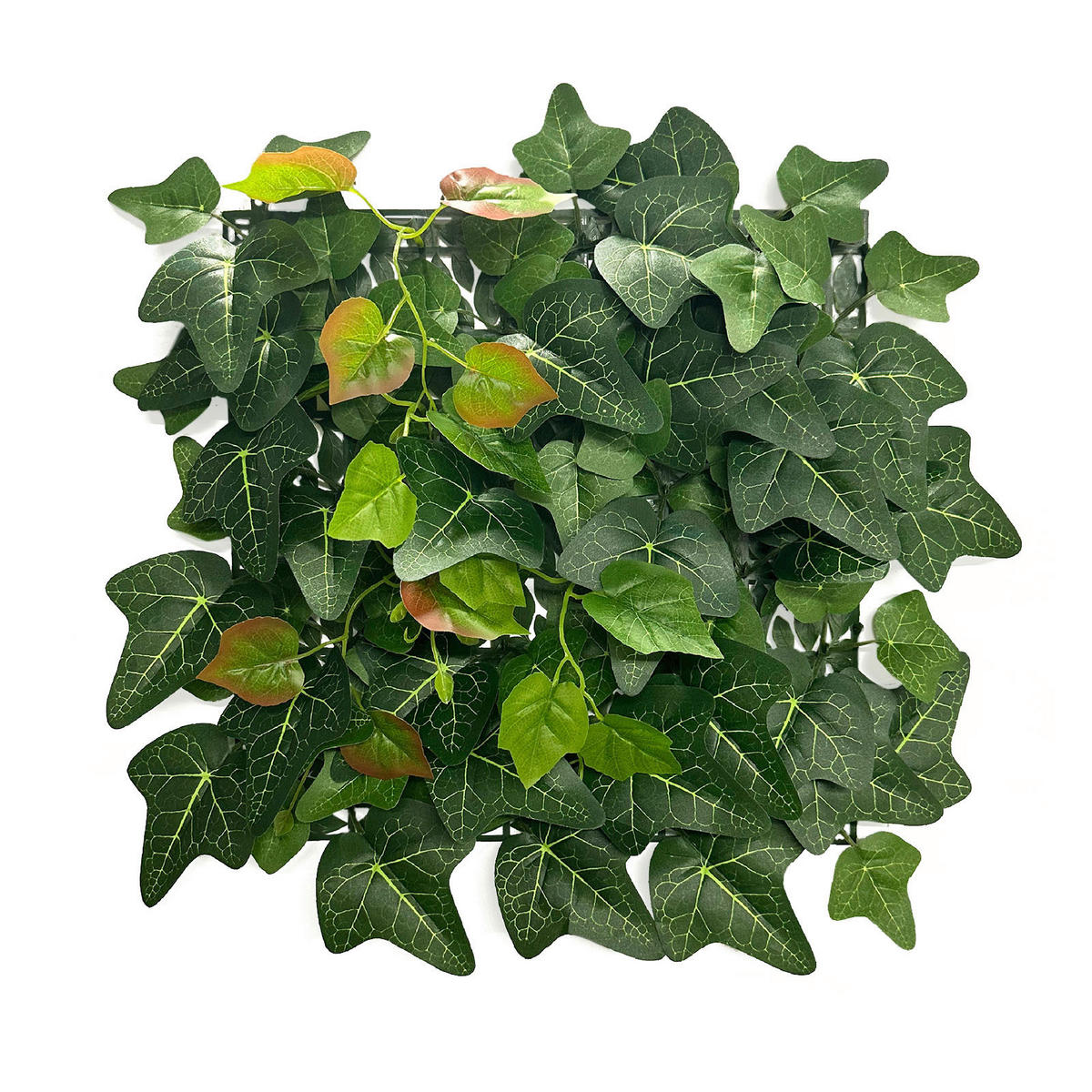 WANDPANEEL  - Trend (33/33cm) - Floordirekt