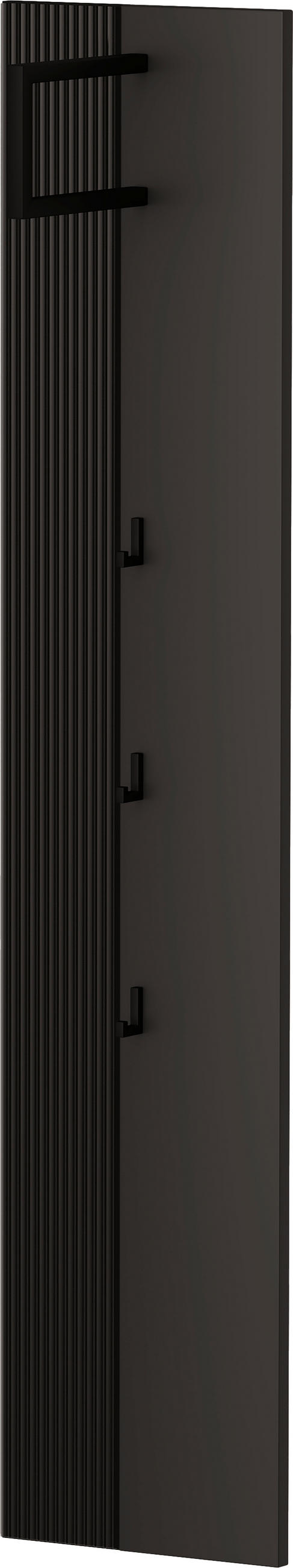 GARDEROBENPANEEL  in 35/165/26 cm  - Anthrazit/Graphitfarben, Design, Glas/Holzwerkstoff (35/165/26cm) - Dieter Knoll