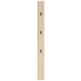 GARDEROBENPANEEL in 13/150/2 cm - Eichefarben, Design, Holzwerkstoff (13/150/2cm) - Xora