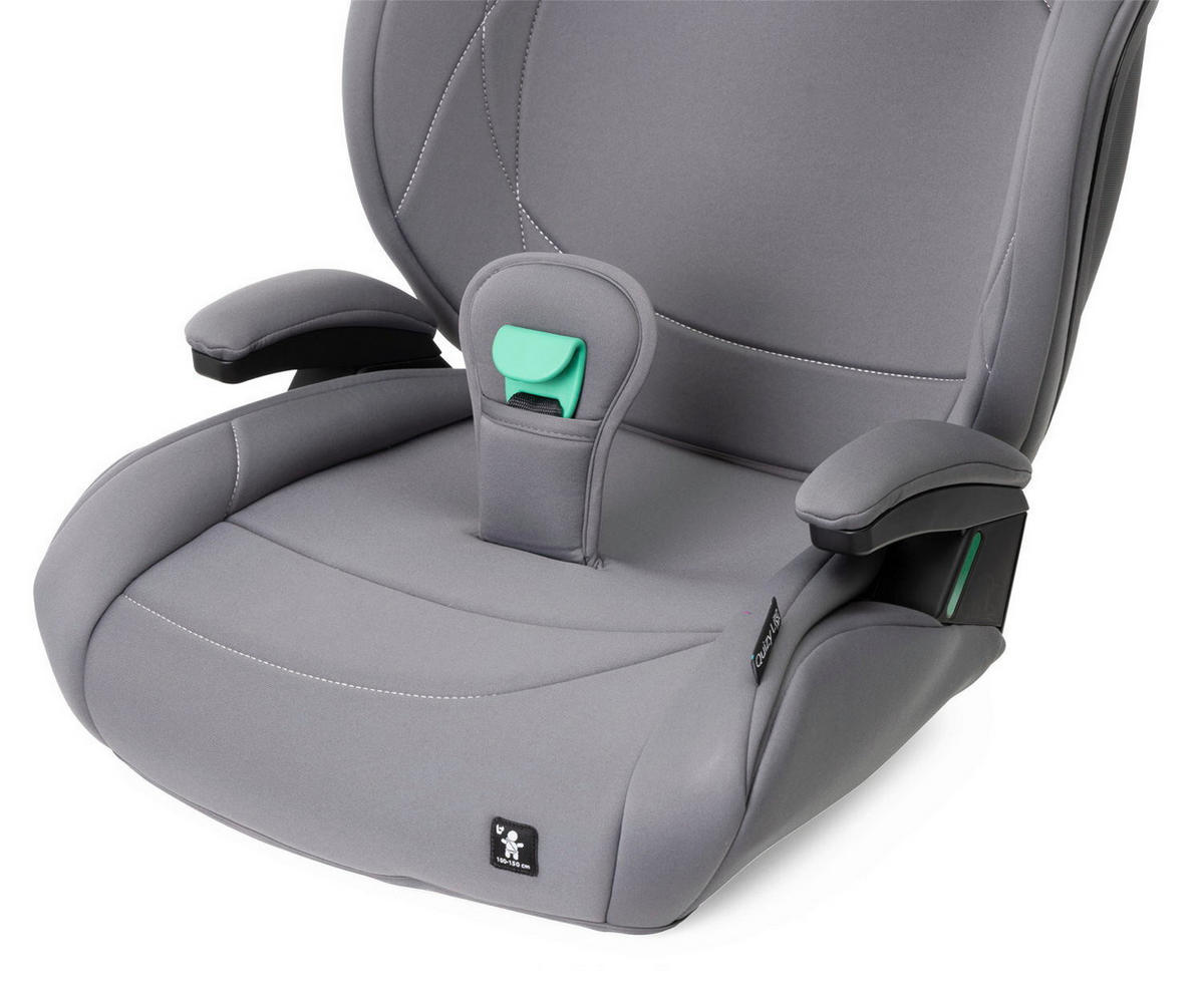 KINDERAUTOSITZ   - Grau, Basics (44/64/88/40cm) - Chicco