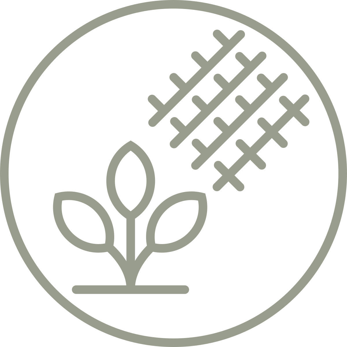 WENDEBETTWÄSCHE TANJA Satin 140/200 cm  - Beige, KONVENTIONELL, Textil (140/200cm) - Novel