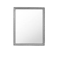 WANDSPIEGEL 45/55/2 cm    in rechteckig  - Silberfarben, LIFESTYLE, Glas/Holz (45/55/2cm) - Carryhome
