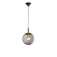ZÁVĚSNÉ SVÍTIDLO, 25/140 cm  - černá, Trend, kov/plast (25/140cm) - Fischer & Honsel