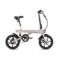 ELEKTROFAHRRAD 16 Zoll  - Silberfarben, Basics, Metall (180/70/100cm)