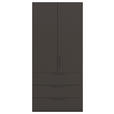 DREHTÜRENSCHRANK 101/235/61 cm,  in Graphitfarben, 2-türig  - Graphitfarben, Basics, Holzwerkstoff/Metall (101/235/61cm) - Novel
