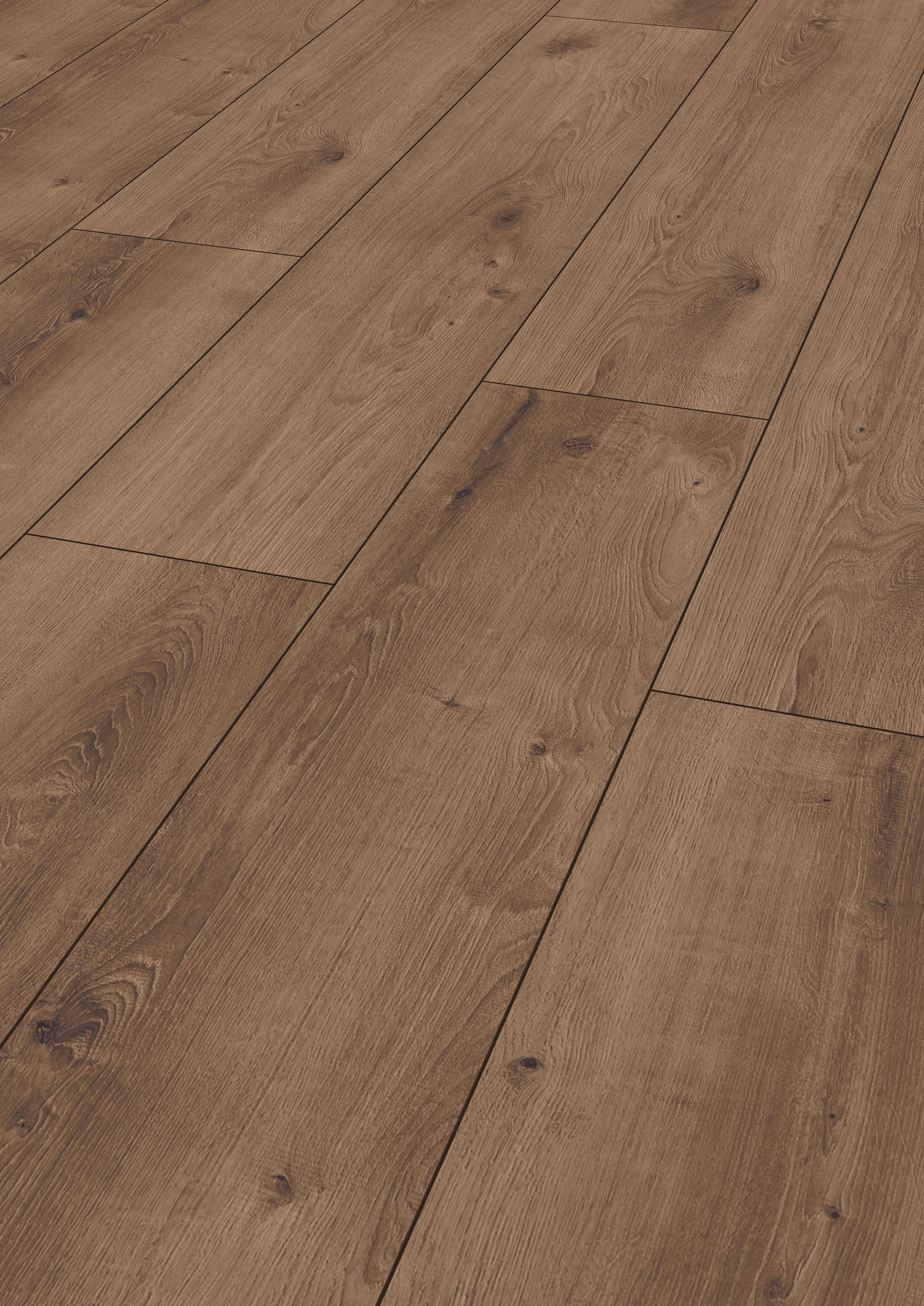 LAMINATBODEN Exquisit Plus  - Eichefarben, KONVENTIONELL, Holz (138.0/24.4/0.8cm)