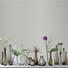 VASE - Transparent, Basics, Glas (8,5/17/8,5cm) - Leonardo
