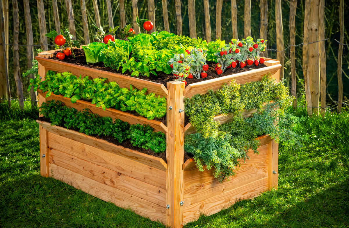 VYVÝŠENÝ ZÁHON   - farba smrekovca, Basics, drevo (124/73/91cm)