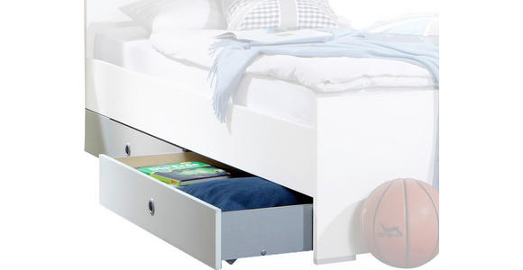 BETTSCHUBKASTEN Weiß - Weiß, LIFESTYLE, Holzwerkstoff/Kunststoff (100/16/60cm) - Carryhome