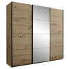 SCHWEBETÜRENSCHRANK 215/204/60 cm 3-türig Eiche Artisan  - Schwarz/Eiche Artisan, KONVENTIONELL, Glas/Holzwerkstoff (215/204/60cm) - Boxxx