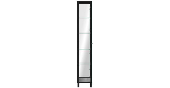 VITRINE  in Schwarz  - Schwarz, KONVENTIONELL, Glas/Holzwerkstoff (33/189/33cm) - Carryhome