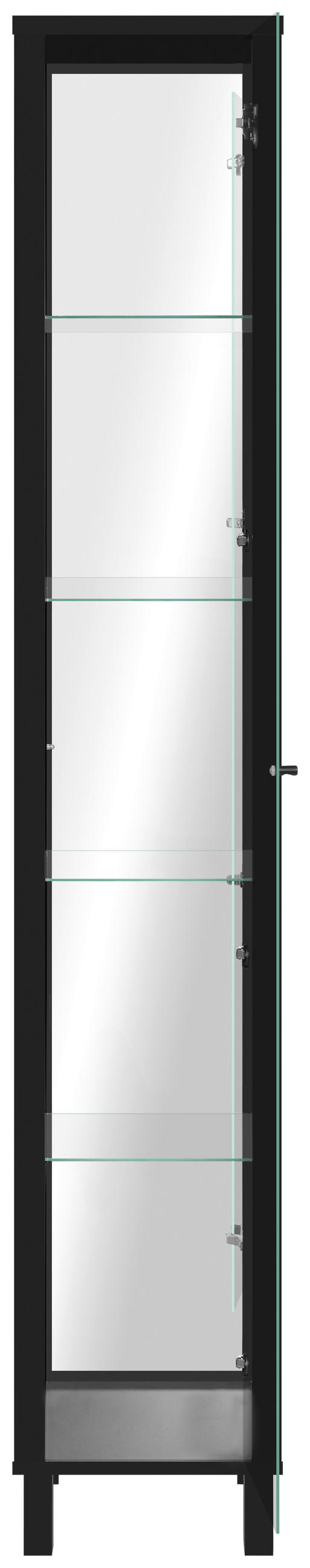 VITRINA, črna - črna, Konvencionalno, kovina/steklo (33/189/33cm) - Carryhome