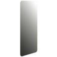 WANDSPIEGEL 50/110/1 cm    in rechteckig  - Klar, Design, Glas (50/110/1cm) - Carryhome