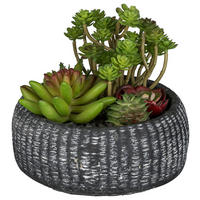 KUNSTPFLANZE Sukkulente 16 cm  - Anthrazit/Grün, Design, Keramik/Kunststoff (16cm)