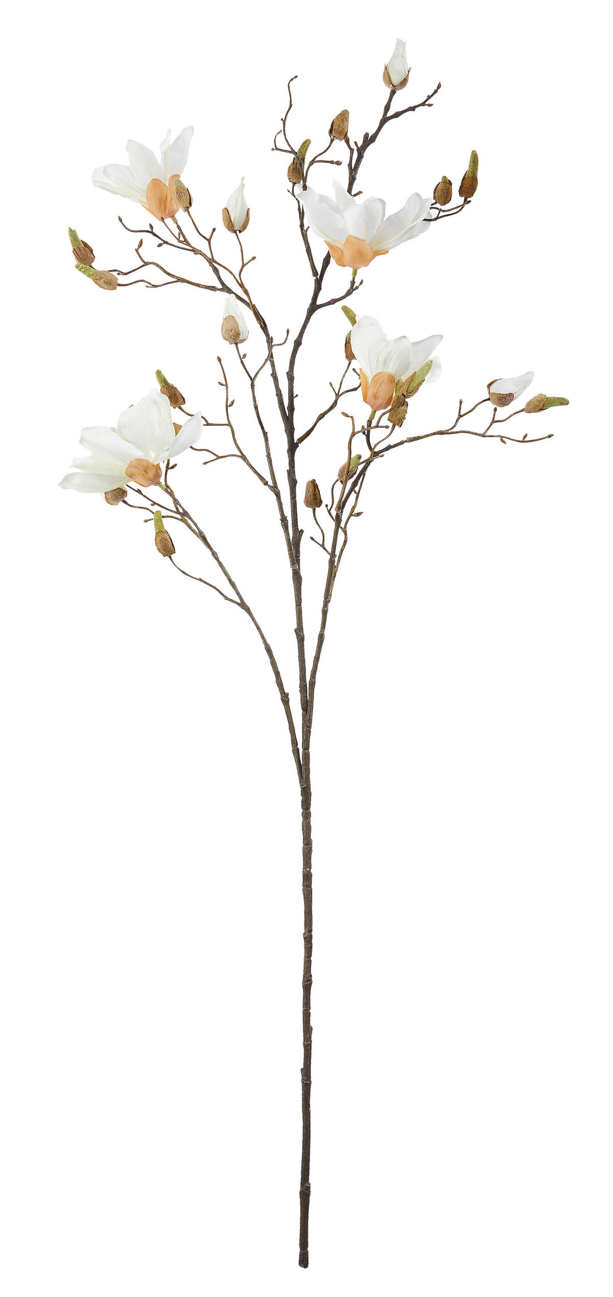 MAGNOLIE 110 cm - bílá/zelená, Basics, plast (110cm)
