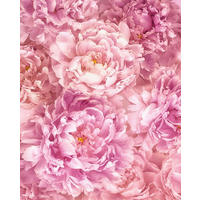 VLIESTAPETE  - Rosa, Basics (200/250cm) - Xora