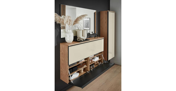 GARDEROBENSCHRANK  in 54/170/31 cm  - Eichefarben/Anthrazit, Design, Glas/Holz (54/170/31cm) - Dieter Knoll