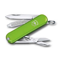 TASCHENMESSER 5.8/1.8/0,9 cm  - Hellgrün, Basics, Metall (5.8/1.8/0,9cm) - Victorinox