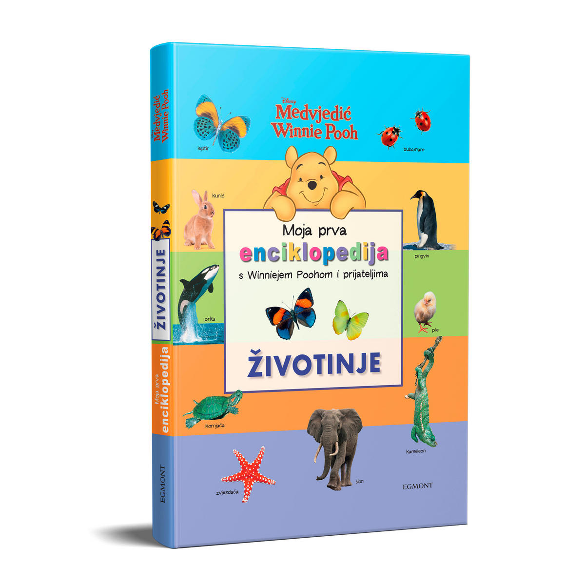 SLIKOVNICA  WINNIE THE POOH  - višebojno, Basics, papir