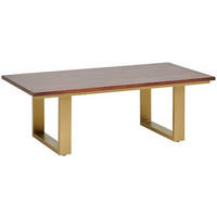 KONFERENČNÝ STOLÍK, zlatá, farba vlašského orecha, drevo, kov, 120/40/60 cm - zlatá/farba vlašského orecha, Design, kov/drevo (120/40/60cm) - MID.YOU