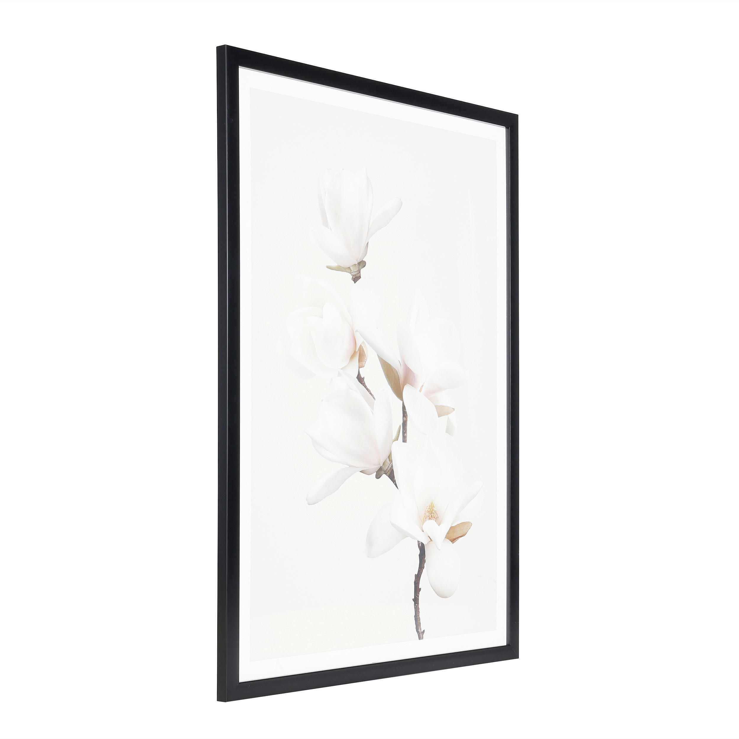 DRUCKGRAFIK Blumen Schwarz, Weiß, Pink, Beige  - Pink/Beige, Trend, Glas/Papier (53/1,6/73cm) - Eglo