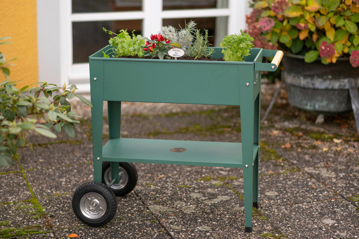 HOCHBEET 35/80/75 cm  - Olivgrün, Basics, Metall (35/80/75cm)