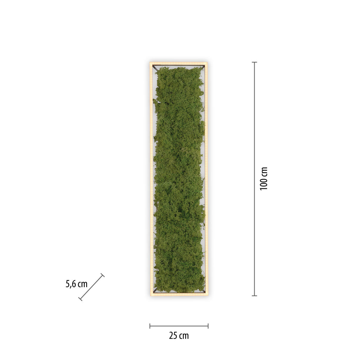 LED-DECKENLEUCHTE Green Knut 100/25/5,6 cm   - Natur, Naturmaterialien/Kunststoff (100/25/5,6cm)